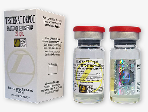 Primobolan depot y dianabol